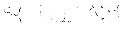 MR. SERGEY TITOV